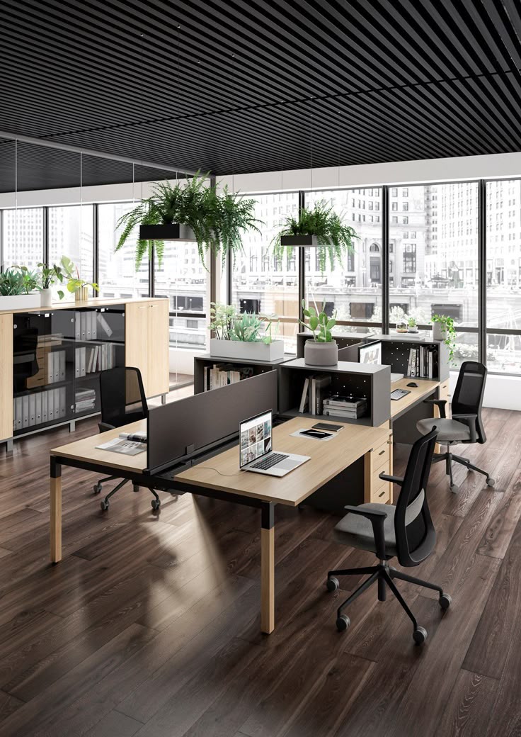 trích lục giấy khai tử cấp tốc khu vực tại Phường Láng Thượng, Quận Đống Đa, Hà Nội - Ảnh 2